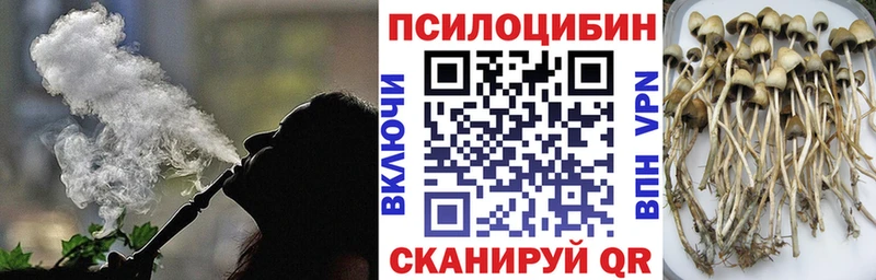 купить наркоту  мега ссылка  Галлюциногенные грибы Psilocybe  Кологрив 